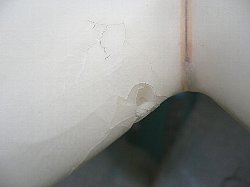 �|���G�X�e�� �e�C�� �V���[�g 6_1